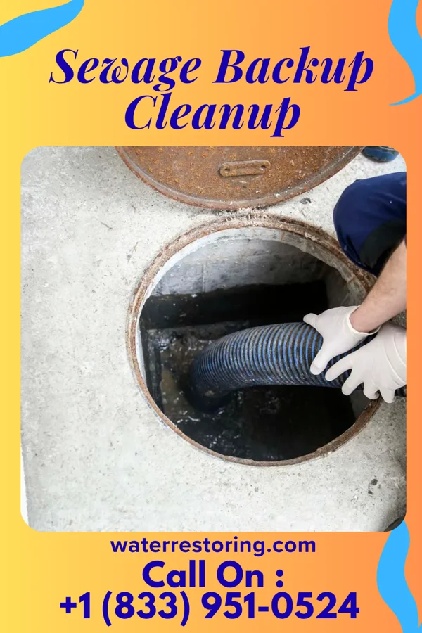 Sewage Backup Cleanup in Mahtowa, MN