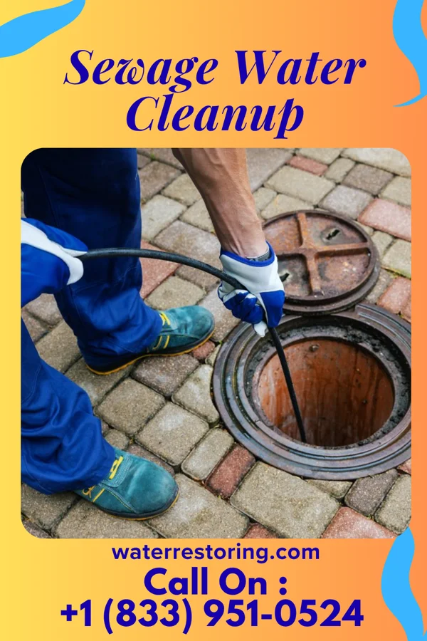 Sewage Water Cleanup in Mahtowa, MN